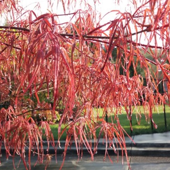 Meet your Posher, Mary - Picture 3 of 5